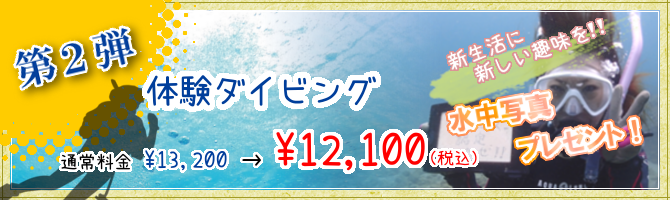 新生活応援キャンペーン!体験ダイビング